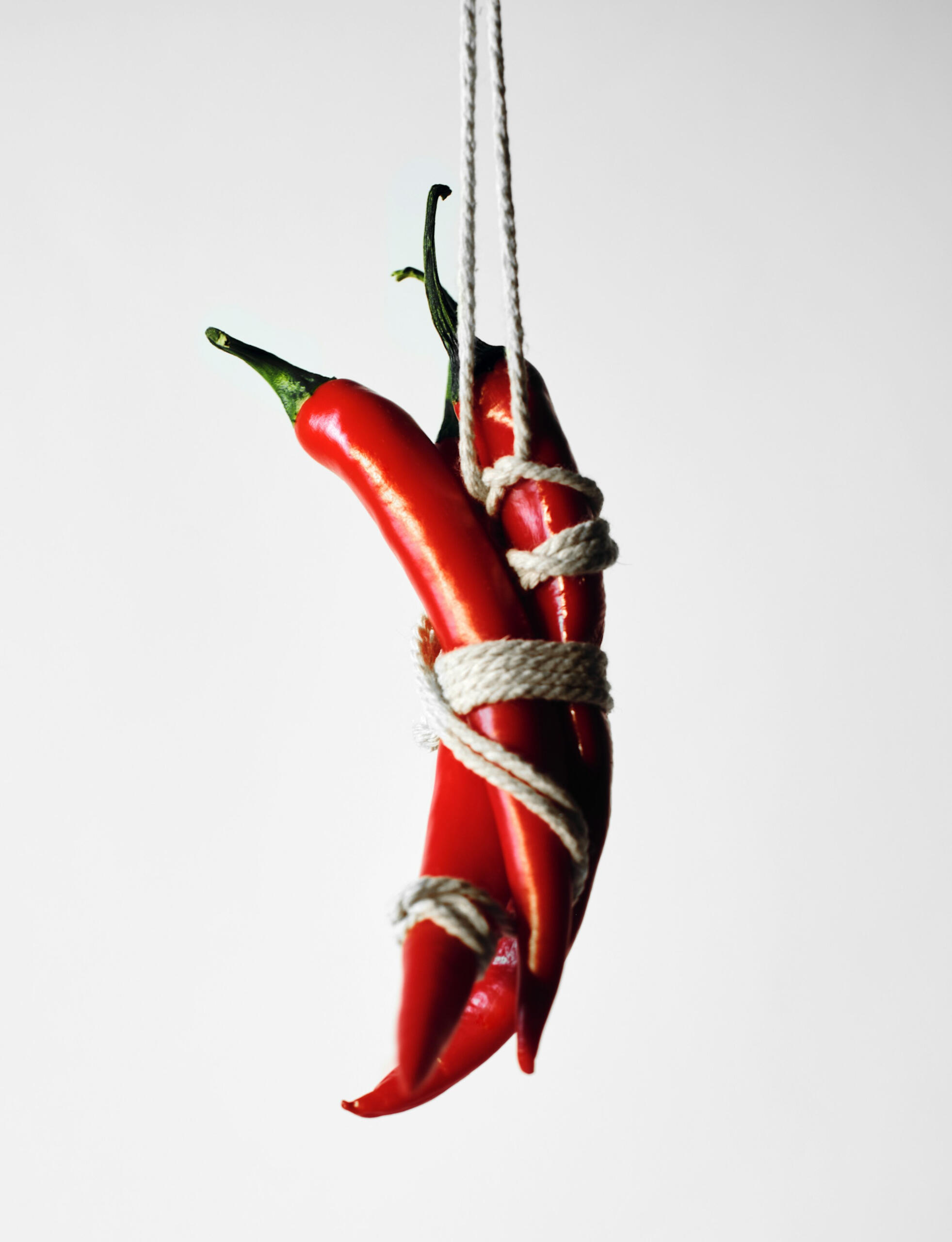 Two chilli peppers tied together in a way reminisant of rope bondage